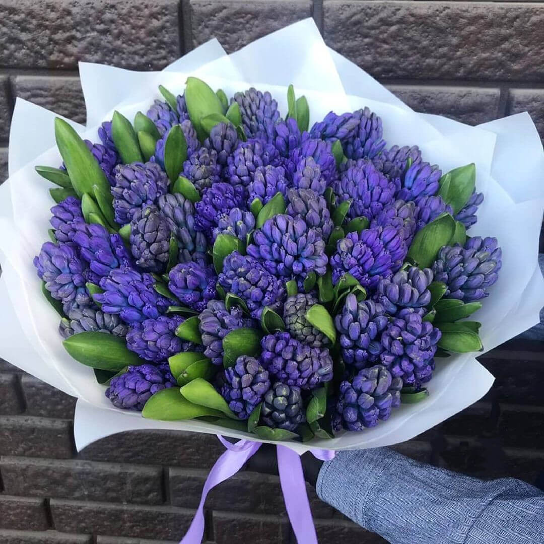 11 Синих Гиацинтов